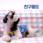 댕댕이 모여라! 펫페어! _ 프리미엄아울렛 송도점 - kakaoTV 댕댕이 모여라! 펫페어! _ 프리미엄아울렛 송도점
