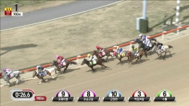 [제주190322-01] 19. 03. 22 제주 1경주 영상입니다. - kakaoTV [제주190322-01] 19. 03. 22 제주 1경주 영상입니다.