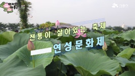 연꽃테마파크 편 (연성문화제&농부장터) - kakaoTV [시흥시] 어서와~ 시흥은 처음이지? 연꽃테마파크 편 (연성문화제&농부장터)