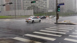 보슬비 오는 거리 / 문주란 (다산중앙로) - kakaoTV 보슬비 오는 거리 / 문주란 (다산중앙로)