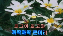 만화주제곡/후토스댄스*황금박쥐 - kakaoTV 만화주제곡/후토스댄스*황금박쥐