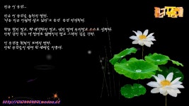 삶의향기_지금 이 순간... - kakaoTV 삶의향기_지금 이 순간...