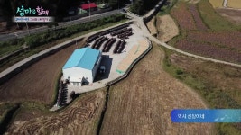 전도마을의 보물창고, 액젓 공장! 2년 삭힌 멸치 액젓의 맛은? [섬마을할매] 17회 - kakaoTV 전도마을의 보물창고, 액젓 공장! 2년 삭힌 멸치... 