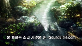 시냇물 흐르는 소리 물 소리 계곡 - kakaoTV 시냇물 흐르는 소리 물 소리 계곡