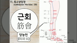 12경맥 회혈 총괄 - kakaoTV 12경맥 회혈 총괄