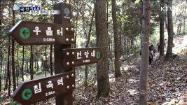 숲길과 강변길 따라 섬진강 둘레길 걷기 - kakaoTV 숲길과 강변길 따라 섬진강 둘레길 걷기