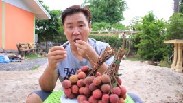 먹방20_린찌(리치)먹방 - kakaoTV 먹방20_린찌(리치)먹방