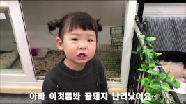 별이맘 피팅모델 크리스탈제이/별이랑 인천 송도 동물카페 탐방기 - kakaoTV 별이맘 피팅모델 크리스탈제이/별이랑 인천 송도 동물카페 탐방기