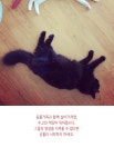 뽀짜툰 147화 묘한 인연 | Daum 웹툰 뽀짜툰 147화 묘한 인연