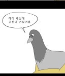 금수친구들 25화 땅땅아, 부탁해!(3) | Daum 웹툰 금수친구들 25화 땅땅아, 부탁해!(3)