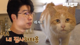 그렇게 (팔자에도 없던) 냥집사가 된다. ㅣPeople Chosen... 없던) 냥집사가 된다. ㅣPeople Chosen By Stray Cats Has... 