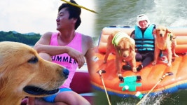 ‘수상레저 犬’ 엠씨·밸리, 배 타는 것을 좋아하게 된 사연? - kakaoTV ‘수상레저 犬’ 엠씨·밸리, 배 타는 것을 좋아하게 된 사연?