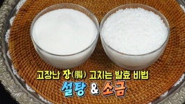 건강한 장 만드는 슈퍼푸드 ‘설탕×소금’ - kakaoTV 건강한 장 만드는 슈퍼푸드 ‘설탕×소금’