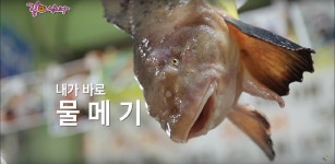 남해싱싱쌩쌩마켓 | 온몸으로 싱싱함 표현하는 남해산 물메기 - kakaoTV 온몸으로 싱싱함 표현하는 남해산 물메기