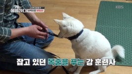 소유욕 대마왕! 이백이를 바꿔라! - kakaoTV 소유욕 대마왕! 이백이를 바꿔라!