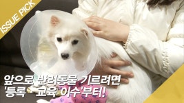 앞으로 반려동물 기르려면 등록·교육 이수부터! - kakaoTV 앞으로 반려동물 기르려면 등록·교육 이수부터!
