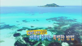 제주중국인브이아이피서비스센터(주) | 오늘은 내가 VIP, 제주를 즐기는 특별한 방법 - kakaoTV 오늘은 내가 VIP, 제주를 즐기는 특별한 방법