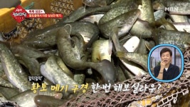 황토물에서 자란 싱싱한 메기! - kakaoTV 황토물에서 자란 싱싱한 메기!