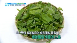 향에 취하고~맛에 취하는~ 취나물의 비밀! - kakaoTV 향에 취하고~맛에 취하는~ 취나물의 비밀!