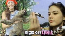 파충류 열풍을 물고 왔던 그 소녀! ‘디에나’의 파충류 사랑♡ - kakaoTV 파충류 열풍을 물고 왔던 그 소녀! ‘디에나’의 파충류 사랑♡