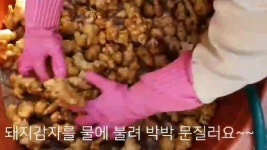 해남만재농장 돼지감자로 천연살충제만들기 - kakaoTV 해남만재농장 돼지감자로 천연살충제만들기