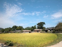 민속마을 - KRpia 검색결과