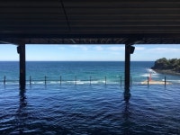 철원, 평화롭게 ‘두루미 자는 버들골’