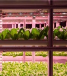 커뮤니티/주차장 < H SERIES | 대한민국 프리미엄 주거 공간의 기준, 단 하나의 완벽함 THE H 현대 디에이치