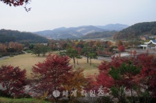 [로컬핫뉴스]오색빛 단풍 손짓…금강수목원 오세요