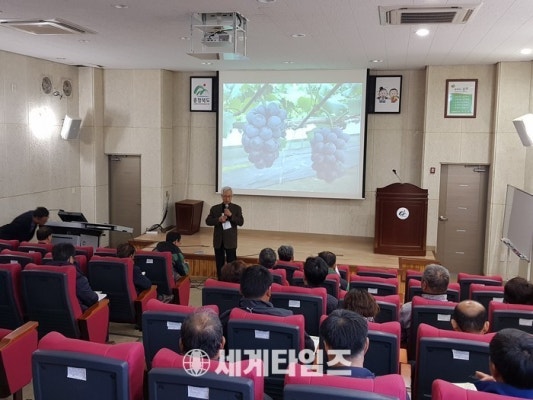 [세계로컬핫뉴스] 「다음 카페 포도 동호회」 포도연구소에 모이다 | 웹