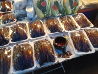 오늘의유머 - fascinating님 늦은 나눔후기 & 솔로의 크리스마스 여행 fascinating님 늦은 나눔후기 & 솔로의 크리스마스 여행