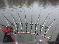         조황/조행기 > 습작 조행기 > 임진년 첫 4짜!     조황/조행기 > 습작 조행기 > 임진년 첫 4짜!