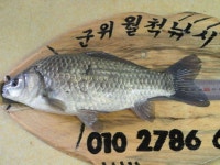 조황/조행기 > 낚시점 조황 > 작지만 큰(?)유.무명 소류지들