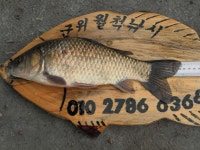 조황/조행기 > 낚시점 조황 > 작지만 큰(?)유.무명 소류지들