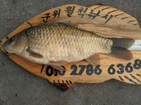 조황/조행기 > 낚시점 조황 > 작지만 큰(?)유.무명 소류지들