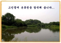 조황/조행기 > 작품 조행기 > 우리는 부부조사다! ( 정 글 )