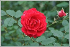 조황/조행기 > 작품 조행기 > 바람따라 구름따라 90회 (금정지)