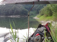         조황/조행기 > 스마트조황 > 함양 토종터~!     조황/조행기 > 스마트조황 > 함양 토종터~!