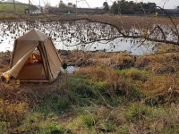 조황/조행기 > 스마트조황 > 고창권 소류지 연밭6일째