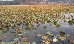         조황/조행기 > 회원 조황 > 가족과 함께....     조황/조행기 > 회원 조황 > 가족과 함께....