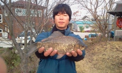         조황/조행기 > 회원 조황 > 가족과 함께....     조황/조행기 > 회원 조황 > 가족과 함께....