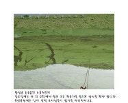         조황/조행기 > 회원 조황 > 달성군 논공의 노홍, 청도 팔치지     조황/조행기 > 회원 조황 > 달성군 논공의 노홍, 청도 팔치지