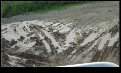         조황/조행기 > 회원 조황 > 황토물인 평택호     조황/조행기 > 회원 조황 > 황토물인 평택호