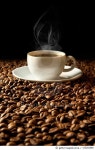 155282580 | 게티이미지코리아 | Coffee Beans with steam Royalty-Free 이미지