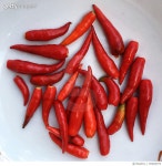 700849579 | 게티이미지코리아 | Directly Above Shot Of Red Chili Peppers On White Table Royalty-Free 이미지