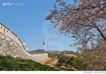 MLUD17000198 | 게티이미지코리아 | 남산타워와 서울 한양도성 Rights-Managed 이미지