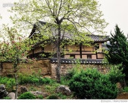 MIWA17000404 | 게티이미지코리아 | 경북 안동시 서후면 풍산태사로(안동김씨 태장사도 민속문화재26호) Rights-Managed 이미지