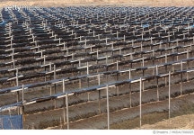 MXDA17000025 | 게티이미지코리아 | 풍기 인근 인삼밭 전경 Rights-Managed 이미지