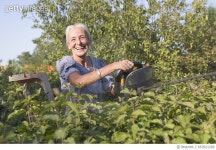 653921268 | 게티이미지코리아 | Happy Senior Woman Gardening Rights-Managed 이미지