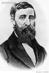 709100459 | 게티이미지코리아 | Portrait of Henry David Thoreau (1817-1862), American writer, poet, and philosopher, engraving... 